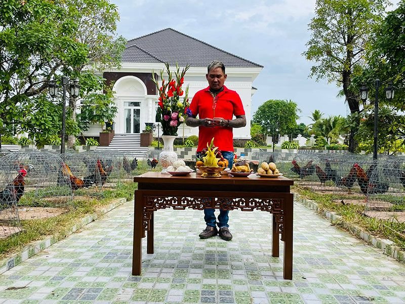 Trại gà mít trà cú