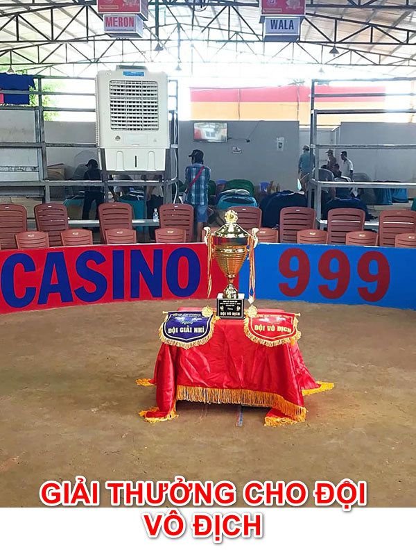 Bồ gà casino 999