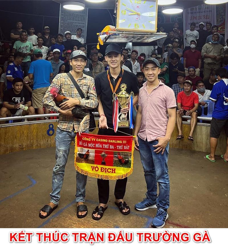 trường gà thomo campuchia