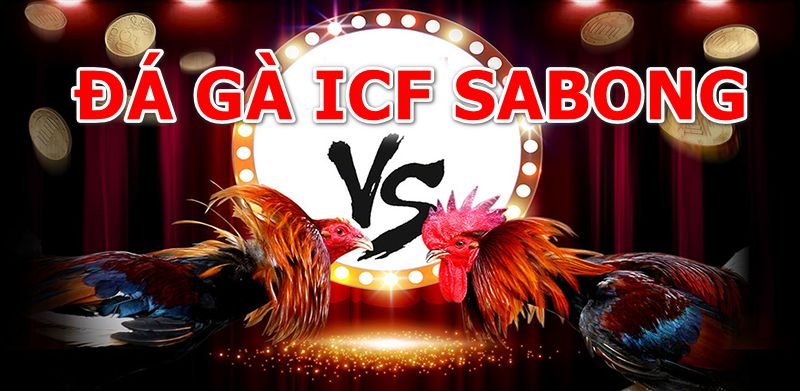 ICF SABONG ĐÁ GÀ TRỰC TIẾP PHILIPPINE